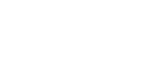 INSTITUTO PEDRO NUNES